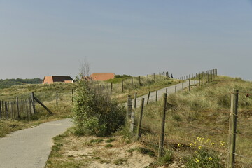 Fototapeta premium Chemin en béton pour la promenade dans les dunes au Coq-Sur-Mer (De Haan Aan Zee)