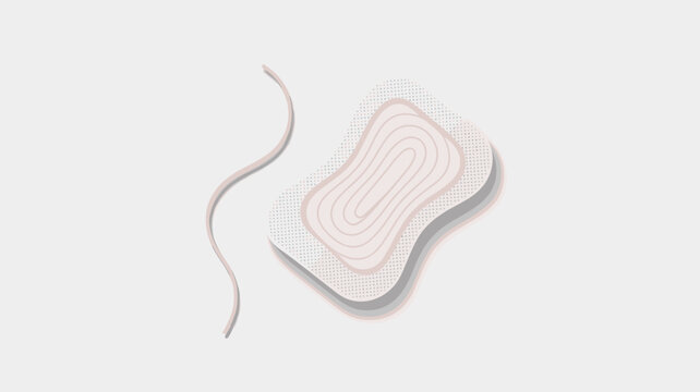 Feminine hygiene product illustration shows a soft white sanitary pad or panty liner with an absorbent core against a grey background.