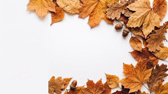 Thanksgiving day background with autumn leaves and acorns border
