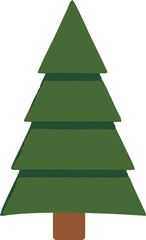 Fototapeta premium Pine Tree