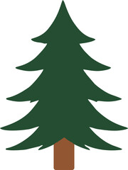 Fototapeta premium Pine Tree