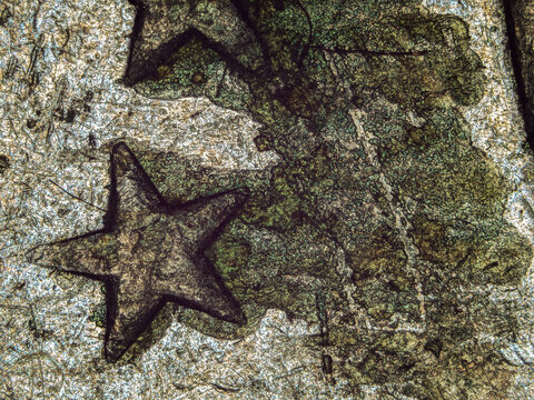 Microscopic view of corrosion on a Swiss franc coin under microscope