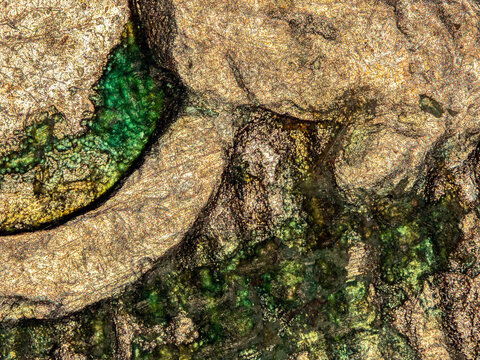 Copper corrosion on a Swiss franc coin under the microscope