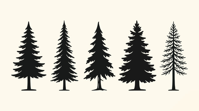 Pine tree silhouettes variety