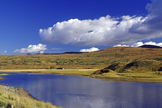 Lake surrounded by rolling hills, grass and a clear blue sky with white clouds Autumn, October, Highlands, railway line Inverness to Kyle of Lochals, Scotland, Great Britain