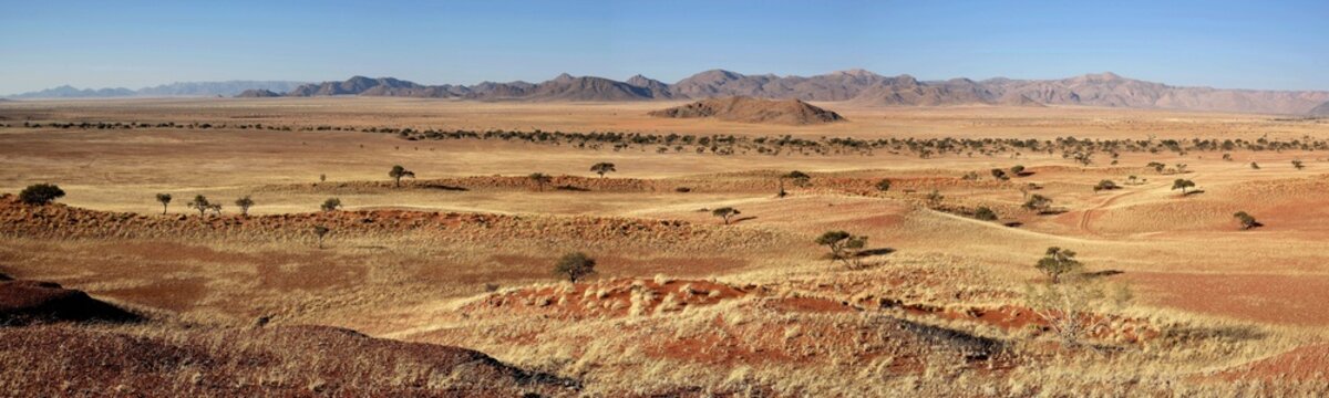 Dune landscape, panorama, Gondwana Namib Park, near Sesriem, Hardap Region