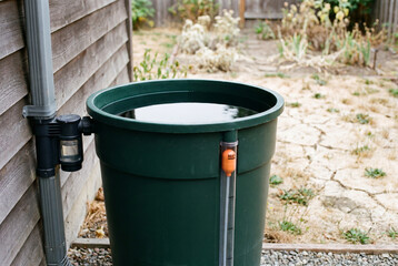 Obraz premium Green rain barrel filled with water stands beside a downspout in a backyard with dry cracked soil.