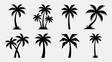 Silhouette palm tree collection © Star