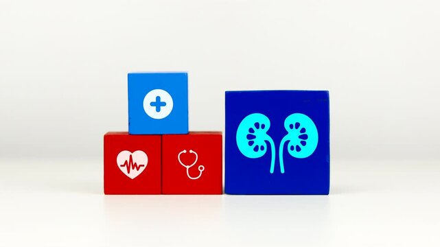 The doctor's hand displays a cube with a kidney icon. Raising awareness about kidney health and preventing kidney disease. Voluntary kidney donation.