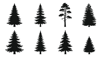 Obraz premium Tree silhouettes collection