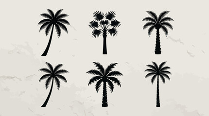 Fototapeta premium Tropical palm tree silhouettes