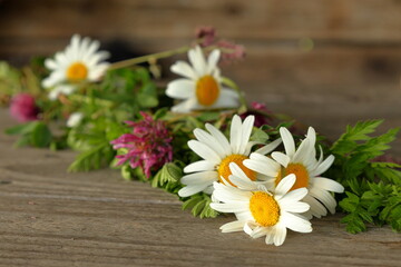 Obraz premium Create midsummer wreath. Hand picked flowers. Daisy and red clover. DIY concept photo. Wooden table background. Swedish tradition and culture.