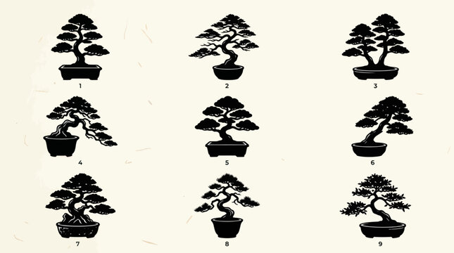 Collection of bonsai trees in black silhouettes