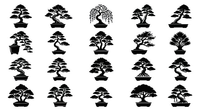 Collection of bonsai trees in miniature pots