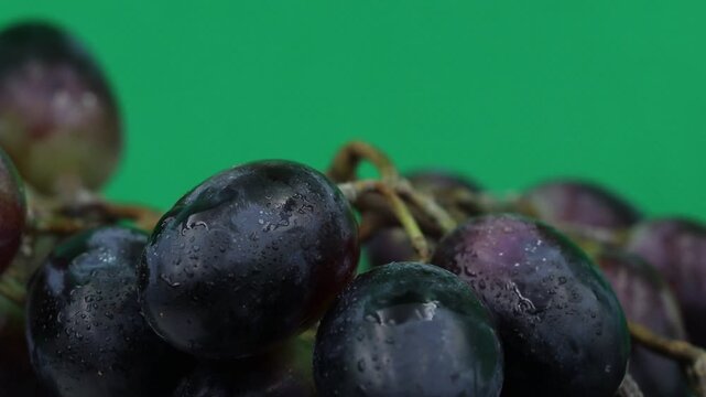 Dark grapes on a green background.
