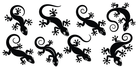 Obraz premium Gecko Lizard Silhouette Set, Lizard Gecko Silhouette Collection, Curled Tail Crawling Reptile Black Vector Icon Set