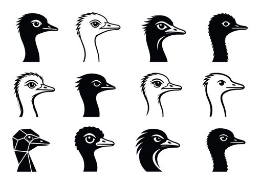 Ostrich head vector illustration set featuring various black and white stylized emu and rhea bird profiles for logo design and branding