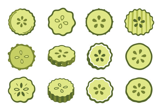Green cucumber slices vector illustration set featuring various hand drawn round cut vegetable pieces with seeds and textured edges