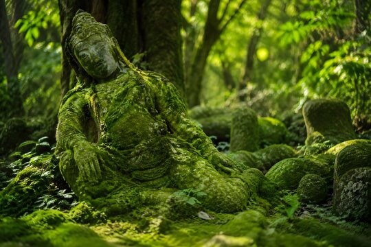 Moss growing heavily over forgotten stone statue in forest eye level angle