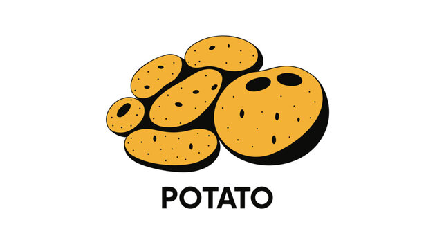 Very beautiful realistic vector illustration of fresh potatoes featuring natural texture and a bold label reading "POTATO", isolated on white background.