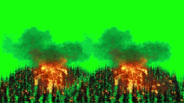 Forest fire burning trees with intense flames and thick smoke on green screen chroma key wildfire disaster heat