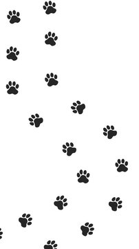 Dog or cat paw prints animation. Walking animal footprints. Embedded alpha channel. ProRes 4444