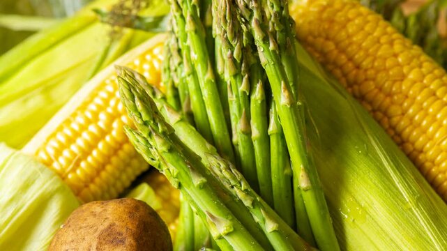 Fresh asparagus, corn, and potatoes arranged together in vibrant culinary food styling
