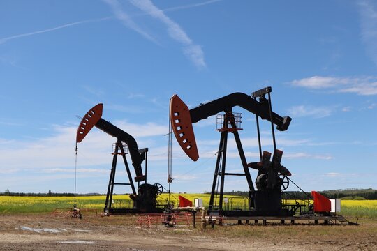 an oil pumpjack &mdash; the classic &ldquo;nodding donkey&rdquo; you see across rural Alberta. The black-and-orange pumpjack is the main lifting mechanism. The surrounding yellow flowering plants are like canola 