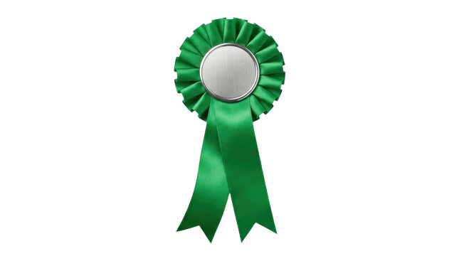 Green ribbon award badge with circular rosette design.
