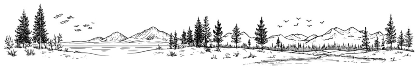 Mountain range and lake panorama with pine forest and flying birds hand drawn sketch style © Kaz