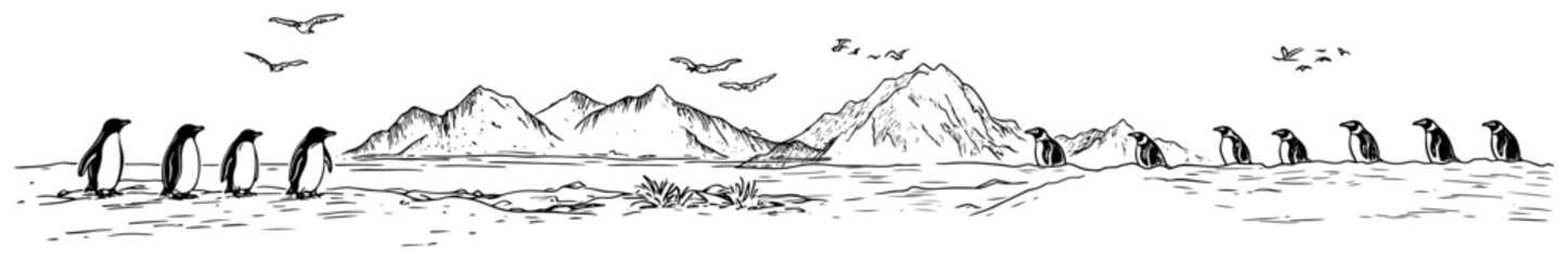 Fototapeta premium Penguins walking in antarctic mountain landscape with flying birds in hand drawn sketch style