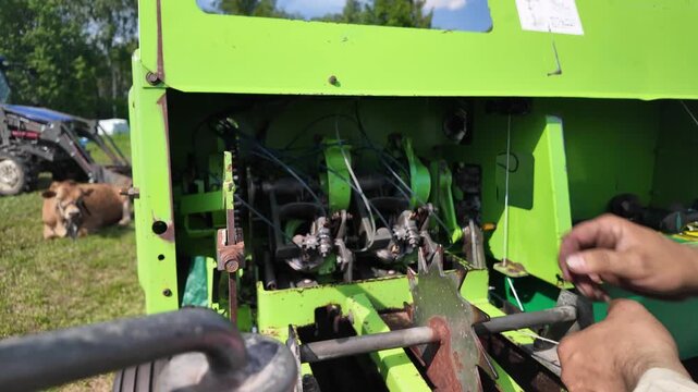 Man manually rotates a square baler drive sprocket during inspection. A tractor with loader and a resting cow are visible in the background. Authentic farm equipment maintenance scene.
