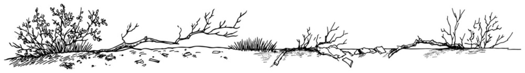 Arid ground surface with small bushes stones and dry branches hand drawn sketch © Kaz