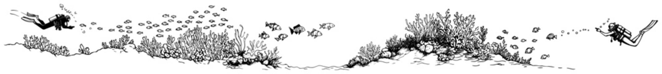 Scuba divers exploring coral reef underwater panorama hand drawn sketch style © Kaz