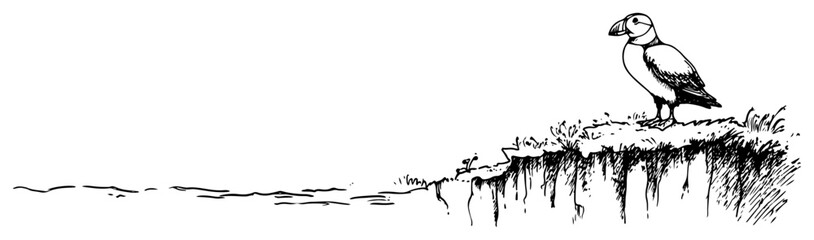 Atlantic puffin bird standing on a grassy coastal cliff in hand drawn sketch style © Kaz