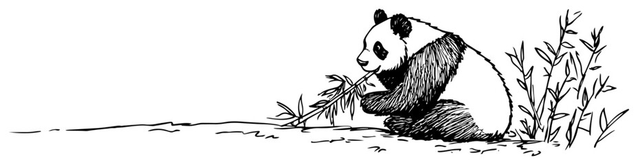 Giant panda sitting and eating bamboo branch hand drawn sketch style © Kaz