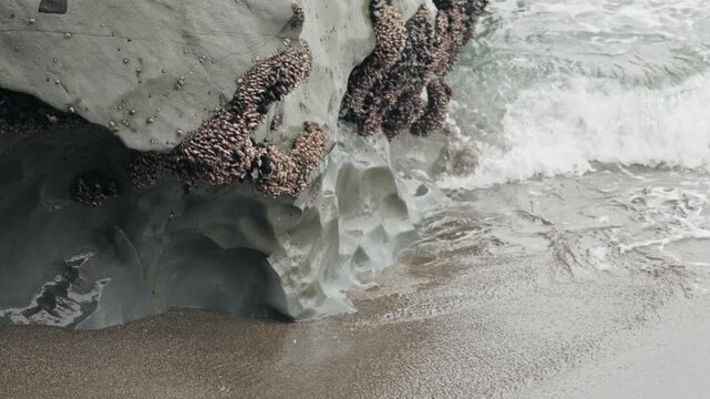 Ocean waves crashing against a barnacle covered rock formation