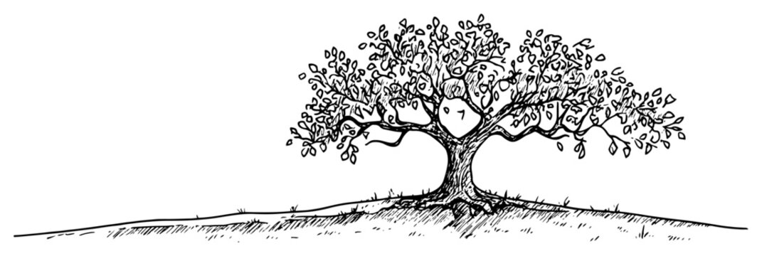 Old apple tree with heart carved in trunk on grassy hill hand drawn engraving style