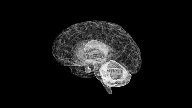 Digital Wireframe Brain: Technology Visualization in Monochrome Art