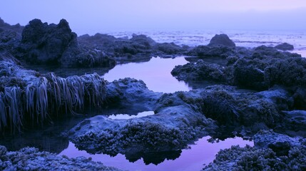 Fototapeta premium Narrow water trickle through volcanic tide pool rocks