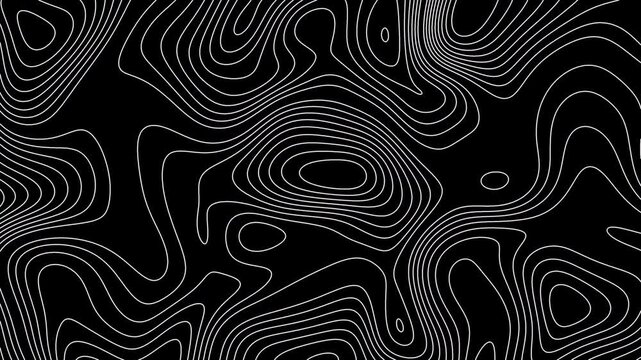 Wavy outline motion graphic background animation. Topographic Lines Animated Abstract Geography Background. Bright Outline Topographic Contour Map concept. 