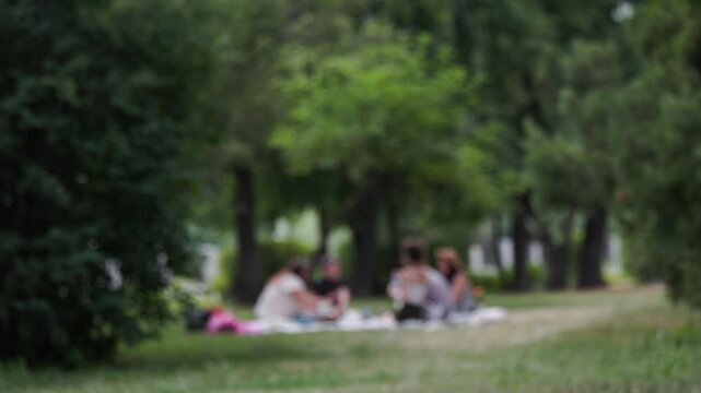 Group of woman and man having picnic on grass in blurred recreation park. Friends relaxing outdoors during summer day. Leisure activity in green city woodland.