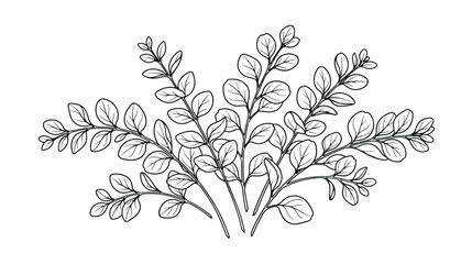 Minimalist eucalyptus branch line art, hand drawn botanical leaf vector illustration, elegant black and white floral foliage sketch for wedding stationery © Dream Time Studio