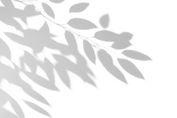 Obraz premium shadow overlay effects of abstract natural tree leaves shadow on wall background,Summer sunlight and shadow overlay effect,branches of a tree shadow,autumn leaves shadow,plants shadow