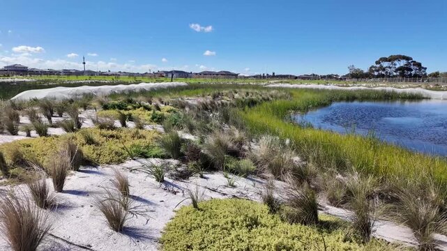 Native grasses and plantings surround a constructed wetland pond with erosion control matting along the banks in a new residential estate in Tarneit, Melbourne Australia