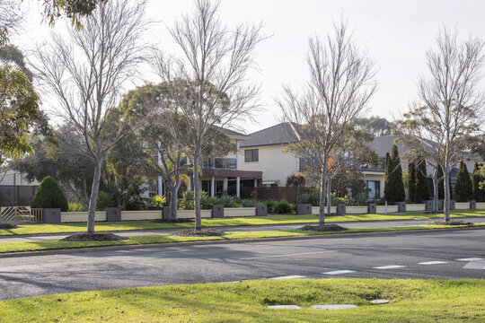 Bare autumn trees line a quiet suburban street beside upscale homes at Sanctuary Lakes, Point Cook, Melbourne Australia. Seasonal change in a spacious, liveable community.