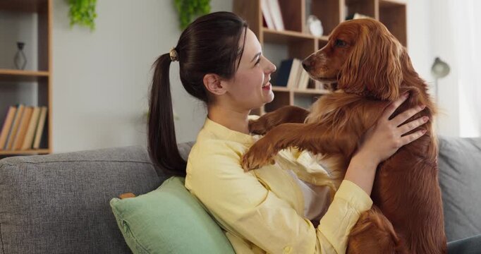 Woman and spaniel dog hug, owner pet bonding. Cozy living room moment on a sofa shows affectionate companionship and everyday lifestyle. Ideal for pet care and lifestyle ads. Warm pet love at home.