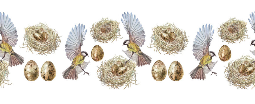 Watercolor seamless border with Easter nest with egg and titmouse on white background. Bird house made of twigs and branches. Spring or summer rim for celebration. Mother's day. Wallpaper wrapping