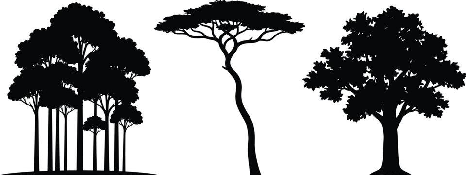 Tree Silhouette Vector Collection Black Forest and Acacia Trees Isolated SVG Set