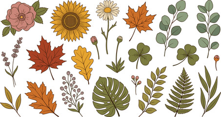 Autumn floral and botanical leaf vector element set featuring colorful illustrations of sunflower maple leaf eucalyptus fern monstera daisy and lavender flowers © MAHIYA AKTER